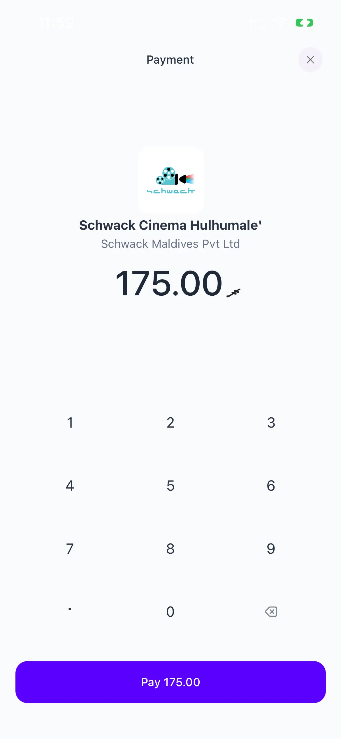 The ticket price is already filled in. Tap Pay and you're done.